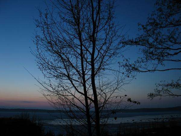 Puu iltah�m�r�ss�