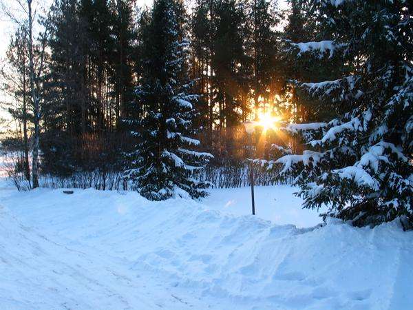 Kirkas pakkasp�iv�