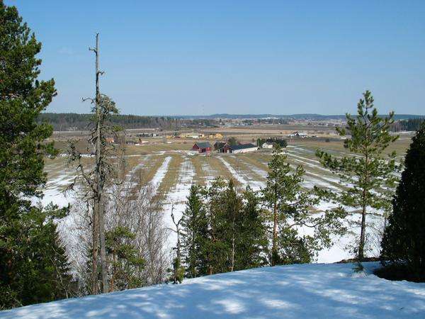 Elim�ell�, Haukkavuoren huipulla