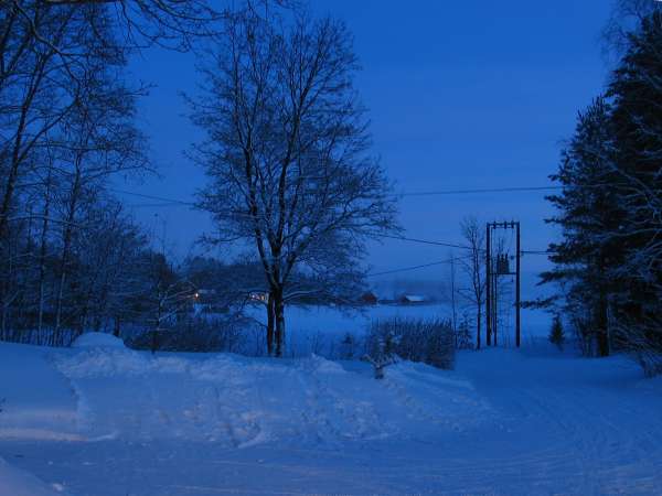 Talvin�kym� kotipihalla