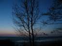 Puu iltah�m�r�ss�